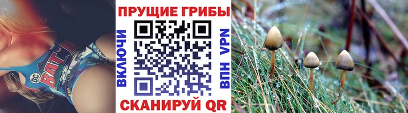 Псилоцибиновые грибы GOLDEN TEACHER  мега как зайти  Камбарка 